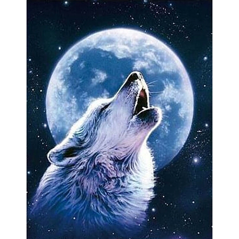 Broderie Diamant - Regard de Loup