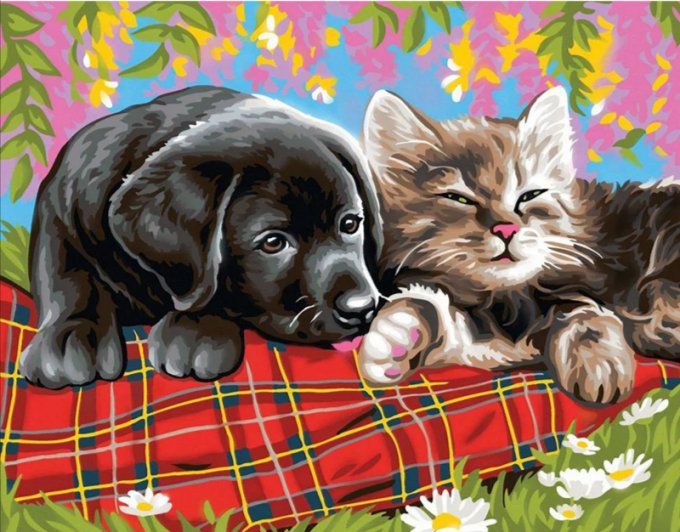 Broderie diamant Chien et chat - 40x50 cm - complète - diamants carré