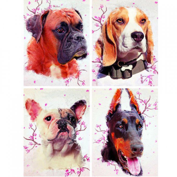 Broderie diamant Chien bouledogue - 40x50 cm - complète - diamants carré