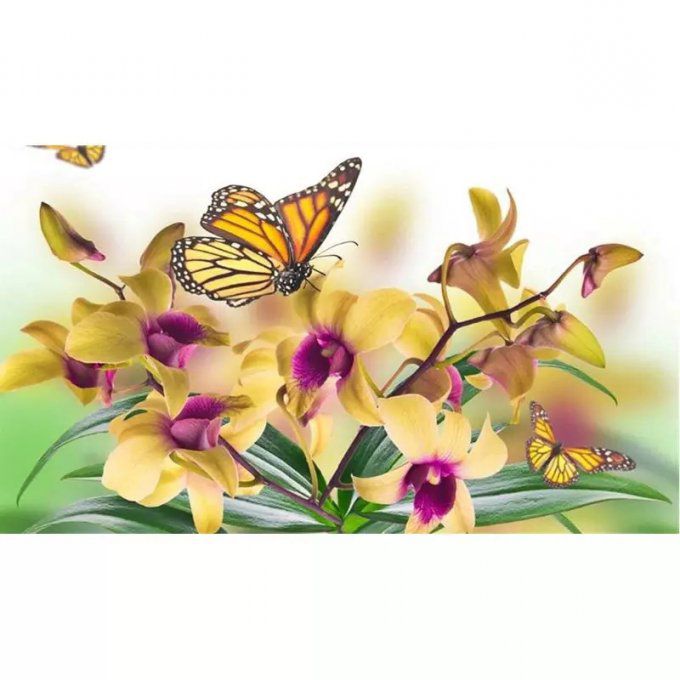 Broderie diamant Orchidées Jaune - 30x48 cm - complète - diamants ronds 