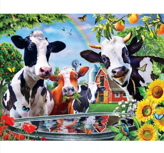 Broderie diamant Vaches - 40x50 cm - complète - diamants carré